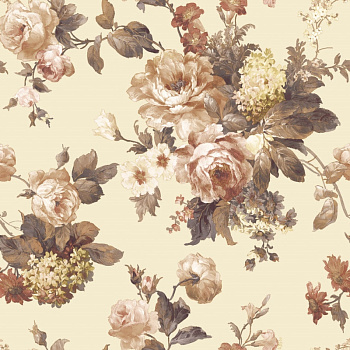 Аркадия салмон