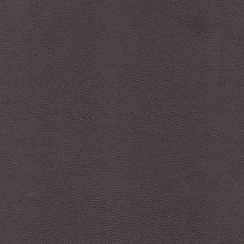 ПОЛО Шоколад